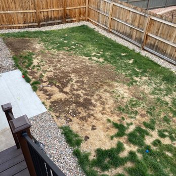 Schubert's Sod Depot - Before. - Nurseries & Gardening Near Me - Colorado Springs, Colorado Schubert's Sod Depot - Before. - Nurseries & Gardening Near Me - Colorado Springs, Colorado