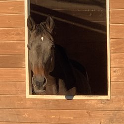Sovereign Farm - Checking things out