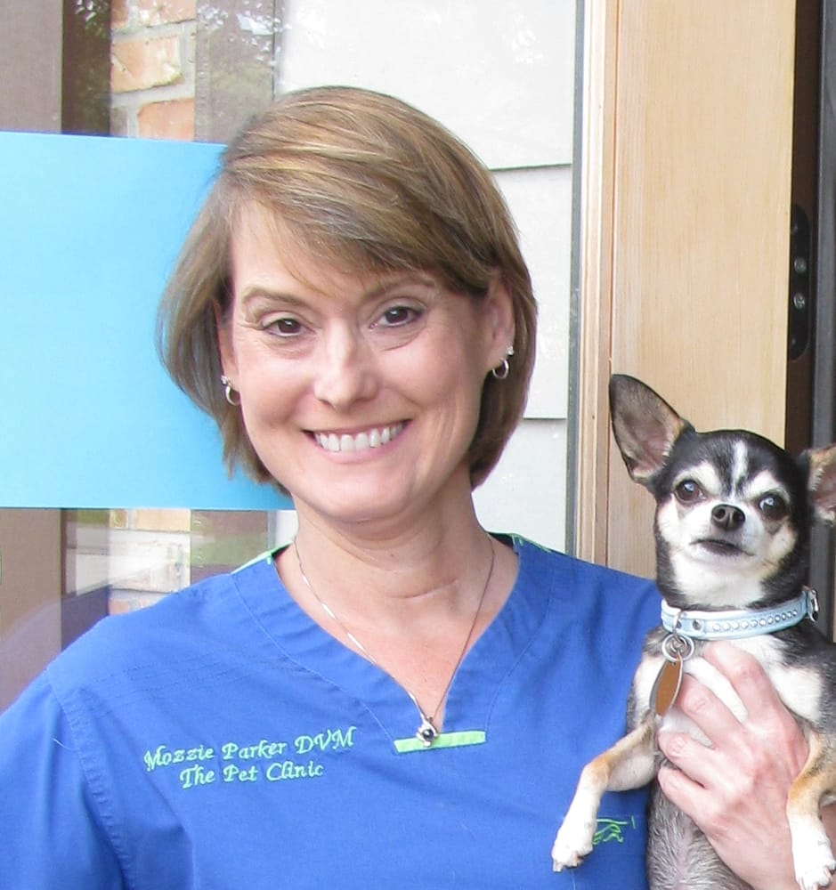 THE PET CLINIC Updated September 2024 21 Photos & 10 Reviews 8195