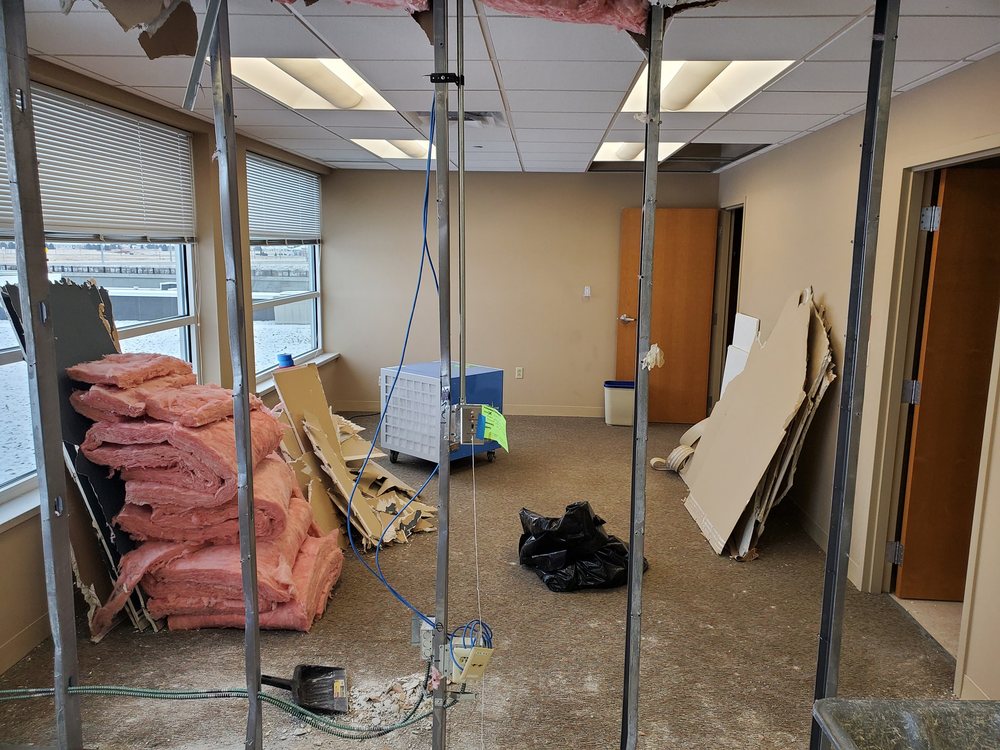 T&S Quality Services - mold inspector in Vernon, WI