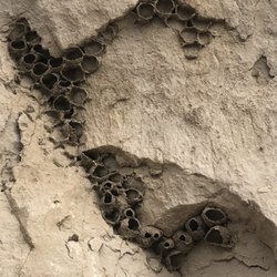 Register Cliff