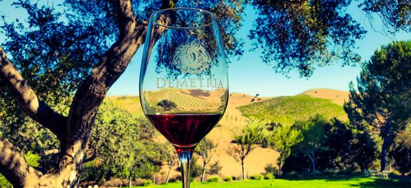 Demetria Estate & Vineyards by null