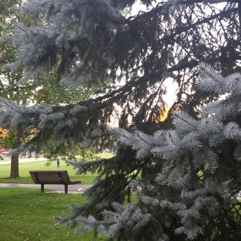 Lindberg Park - Parks Near Me - Oak Park, Illinois
