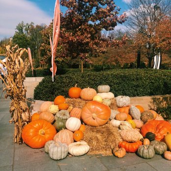 Harvest Nights at Newfields - Festivals Near Me - Indianapolis, Indiana