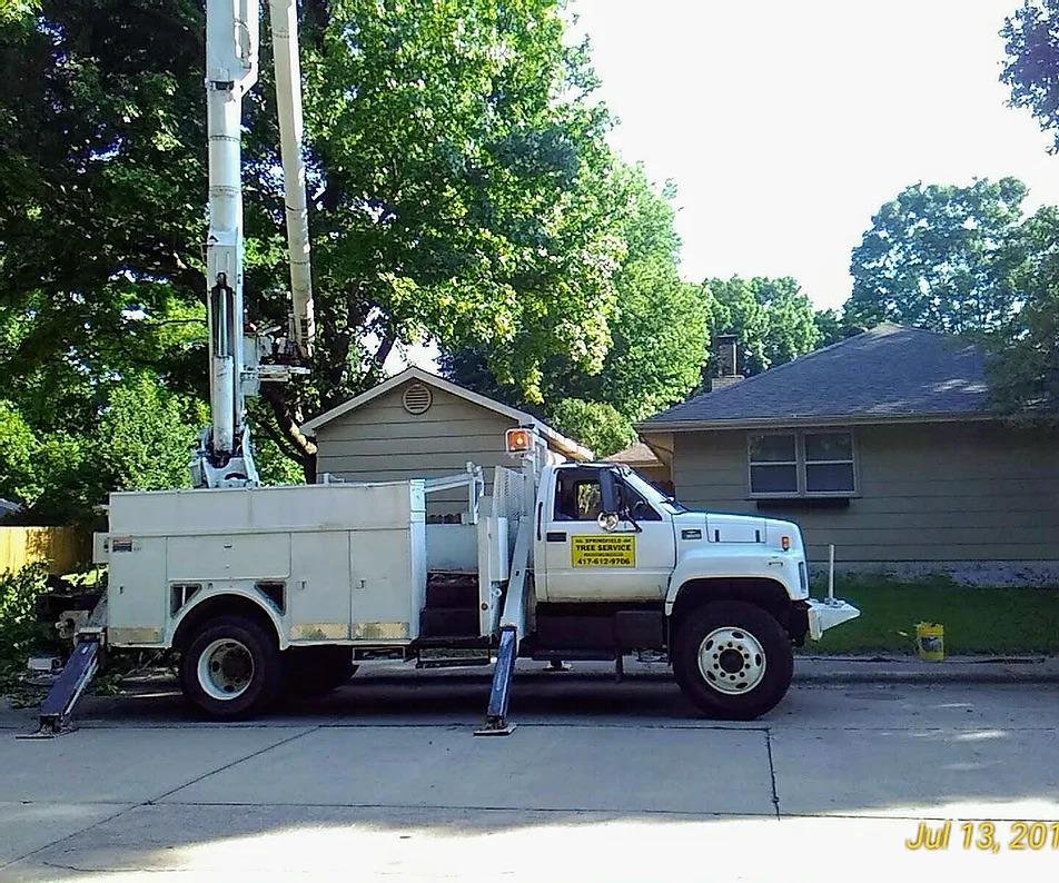 Springfield Tree Service - tree service in Springfield, MO
