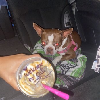 CALI COFFEE - Coffee & Tea Near Me - Hollywood, Florida