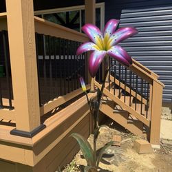 AJ's Copper Garden