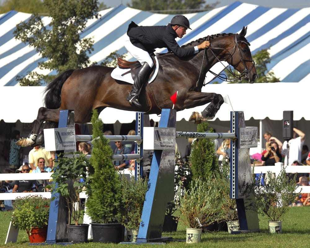 Newbury Farm - equestrian in Littleton, MA