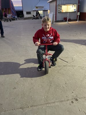 Dehns Pumpkins by null