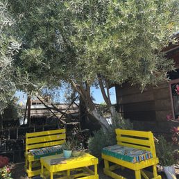 Additional shaded seating area Additional shaded seating area