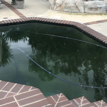 LUX Pool Services - this is how my poor pool looked when Neno came to save the day. - Pool & Hot Tub Service Near Me