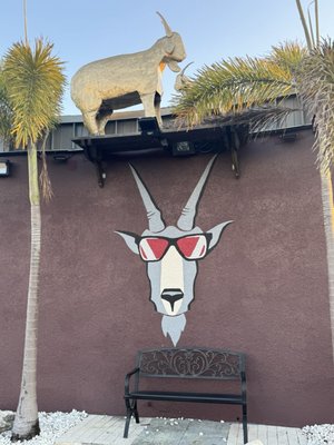 The Blind Goat Food & Drink Co. by null