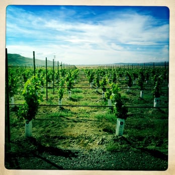 Frichette Winery - The Frichette Vineyard! - Wineries Near Me - Benton City, Washington