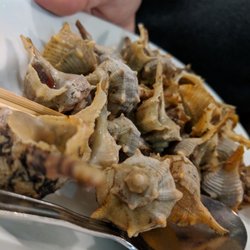 Melaverde - Wee tiny conch