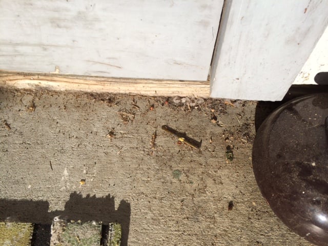 Slide of Central Valley's Elite Roofing Company