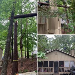 McAbee Tree Care - Call us when mother nature strikes. We offer 24/7 emergency tree removal assistance.