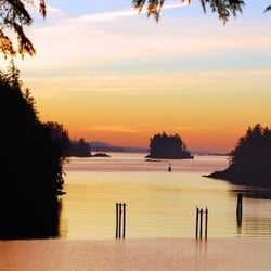 Reef Point Cottages - Ucluelet sunsets are beautiful!