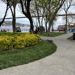 Kuzguncuk Park