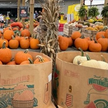 Emily's Produce - Farmers Market Near Me - Cambridge, Maryland Emily's Produce - Farmers Market Near Me - Cambridge, Maryland