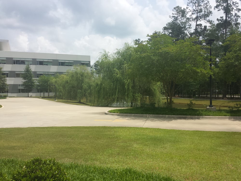 CHEVRON Updated May 2024 100 Northpark Blvd, Covington, Louisiana