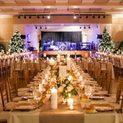 The Fluted Mushroom Catering