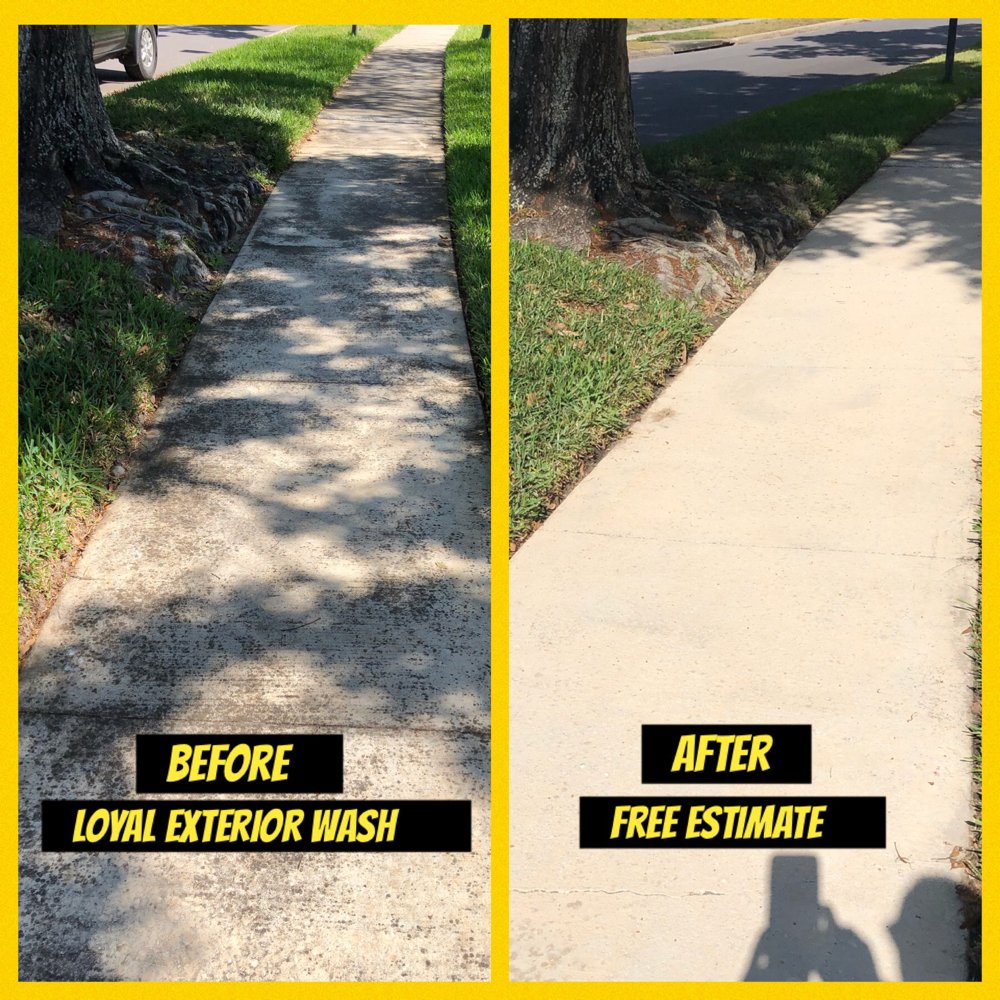 Slide of Loyal Exterior Wash