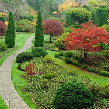 Adamson We-Gro - a pathway in a garden - Landscaping Near Me - Palmyra, Indiana