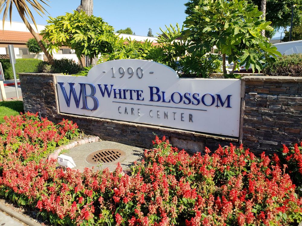 Photos for White Blossom Care Center Yelp