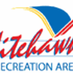 Nitehawk - Logo