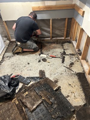 The Jack of all Trades