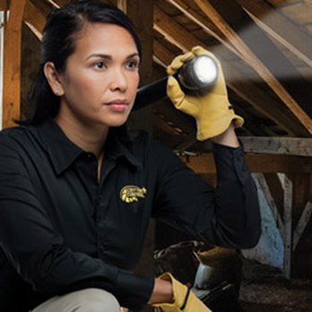 Critter Control of Denver - Pest Control Near Me - Westminster, Colorado Critter Control of Denver - Pest Control Near Me - Westminster, Colorado
