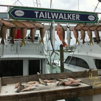 Duck Key Marina - Catch from charter boat trip - Marinas Near Me - Marathon, Florida