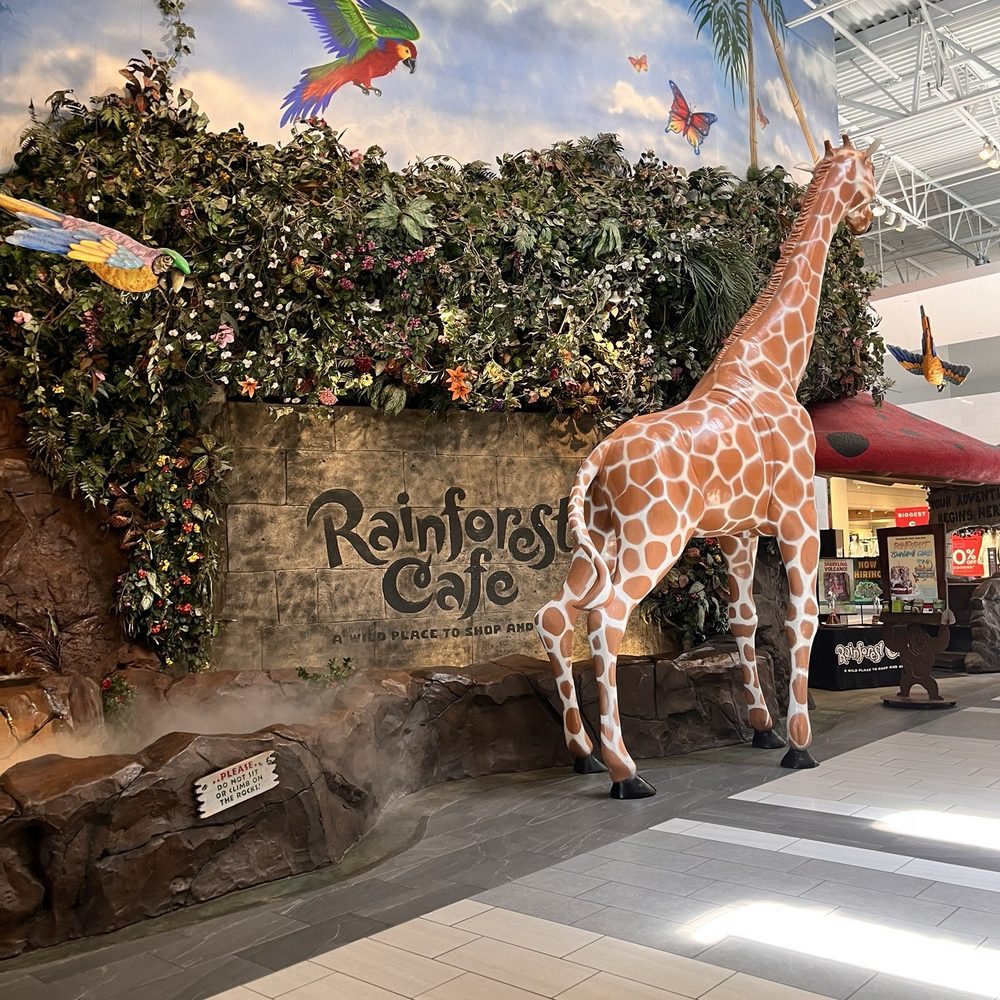 Rainforest Cafe - American Near Me - Katy, Texas