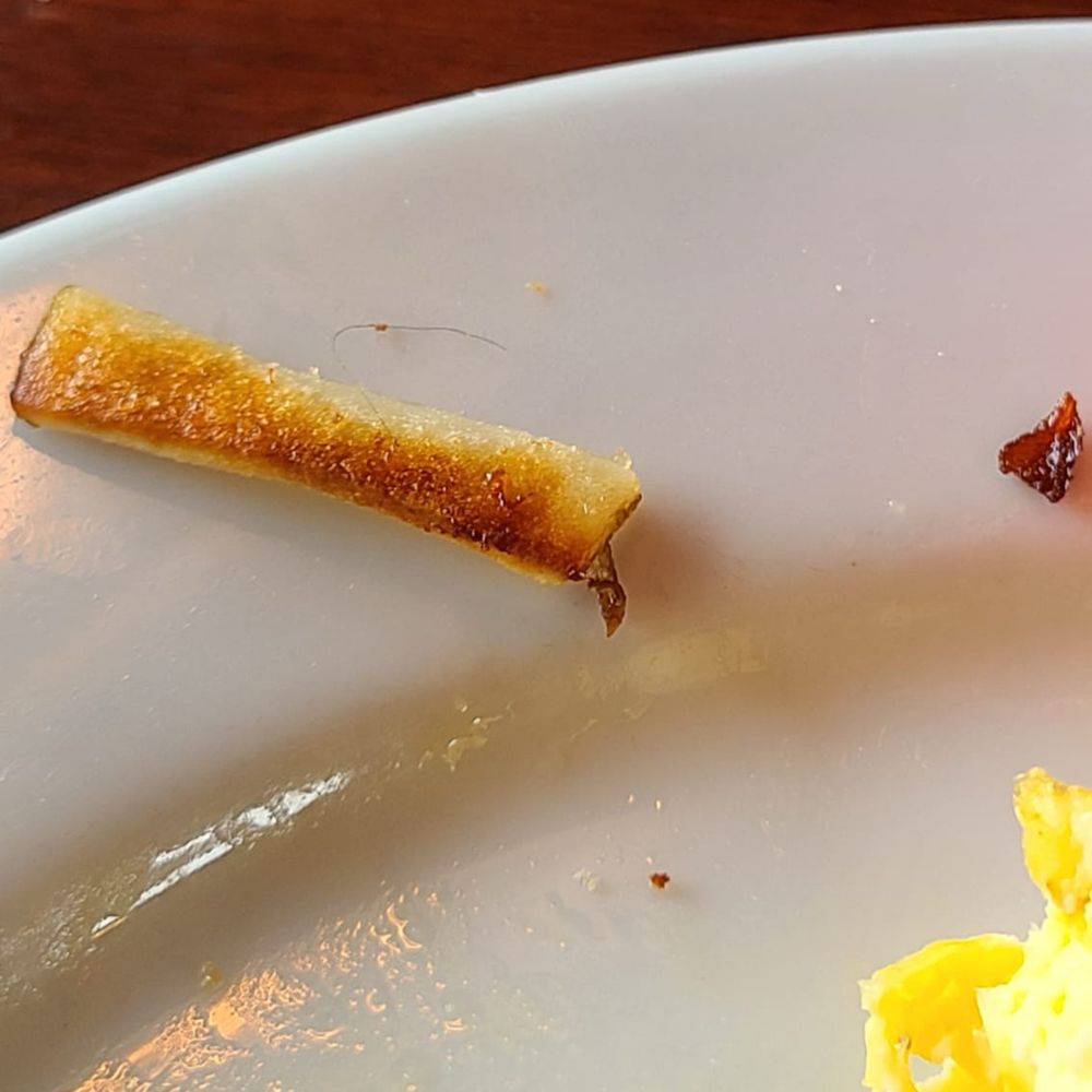 Elmer's Restaurant - Got more than what we asked for with our breakfast. Won't be returning. - Diners Near Me - Medford, Oregon Elmer's Restaurant - Got more than what we asked for with our breakfast. Won't be returning. - Diners Near Me - Medford, Oregon
