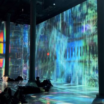 ARTECHOUSE New York - The one exhibit - Art Museums Near Me - New York, New York
