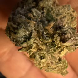 Herbal Remedies - Moonbow #112