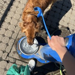 Paul and Verna Winkelman Dog Park - Dog watering stations
