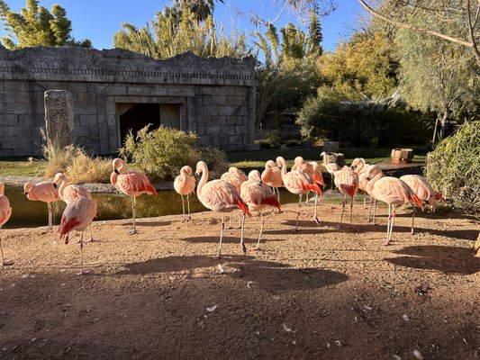 Reid Park Zoo by null