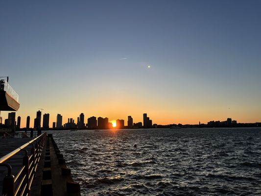 City Vineyard by null