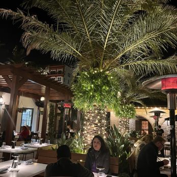 Saint - Outside seating - Italian Near Me - St. Augustine, Florida Saint - Outside seating - Italian Near Me - St. Augustine, Florida