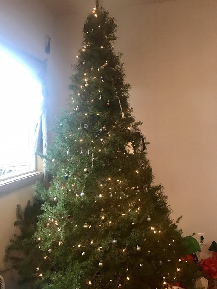 SMALLS NORTHWEST EVERGREENS Updated August 2024 6480 Northwest Rd