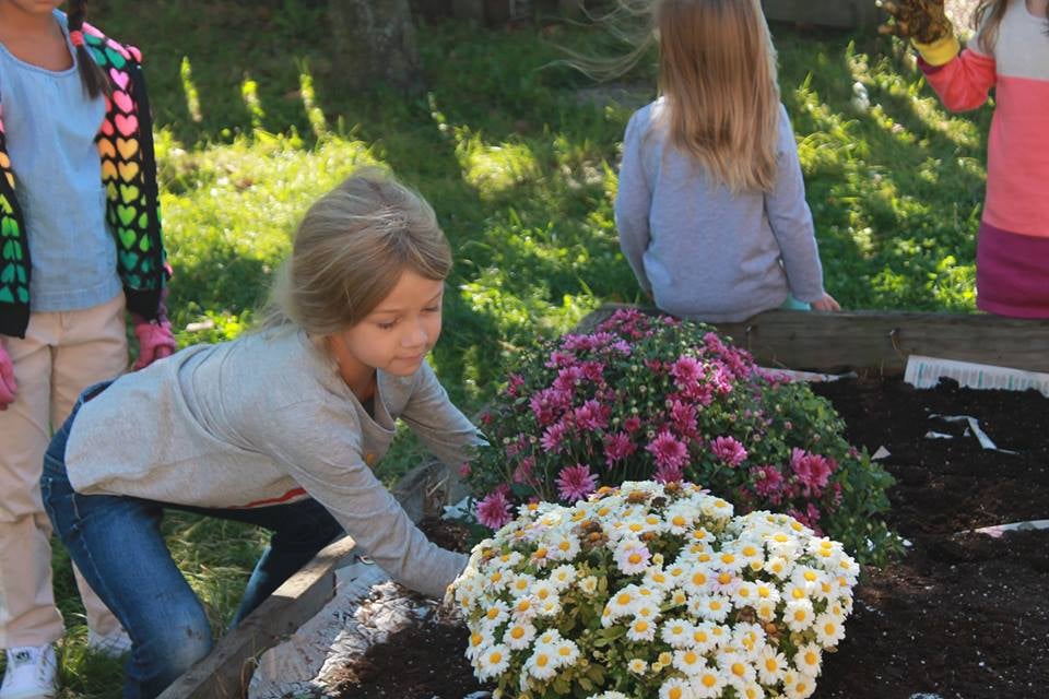 Spectrum Progressive School - childcare center in Rockford, IL