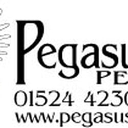 Pegasus Pets