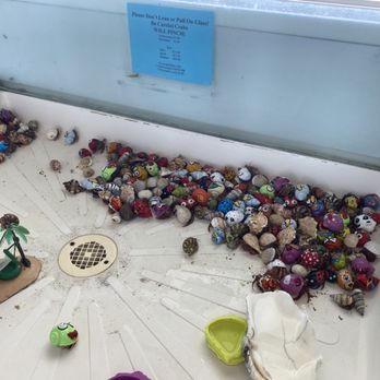Murdochs - hermit crabs - Souvenir Shops Near Me - Galveston, Texas