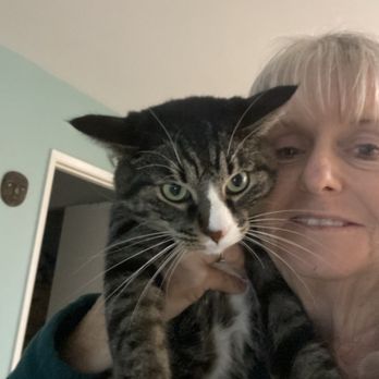 Animals Furrst - Pet Sitting Near Me Animals Furrst - Pet Sitting Near Me
