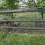 Photo of Redwood Fencing