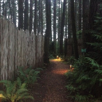 WildSpring Guest Habitat - Path to cabin 2 - Hotels Near Me - Port Orford, Oregon WildSpring Guest Habitat - Path to cabin 2 - Hotels Near Me - Port Orford, Oregon