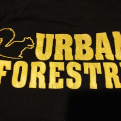 Black Squirrel Urban Forestry