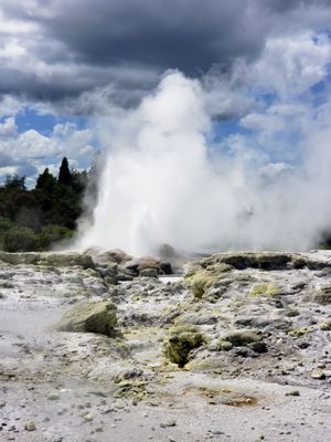 Te Puia - Rotorua, NZ by null