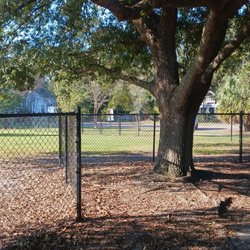 Crawford Park - The fenced off tree from the other side! You wonder how much that extra fence cost them when you taking consideration the labor